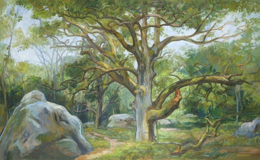 Le chêne Sully (huile sur toile) - 97 x 146 cm